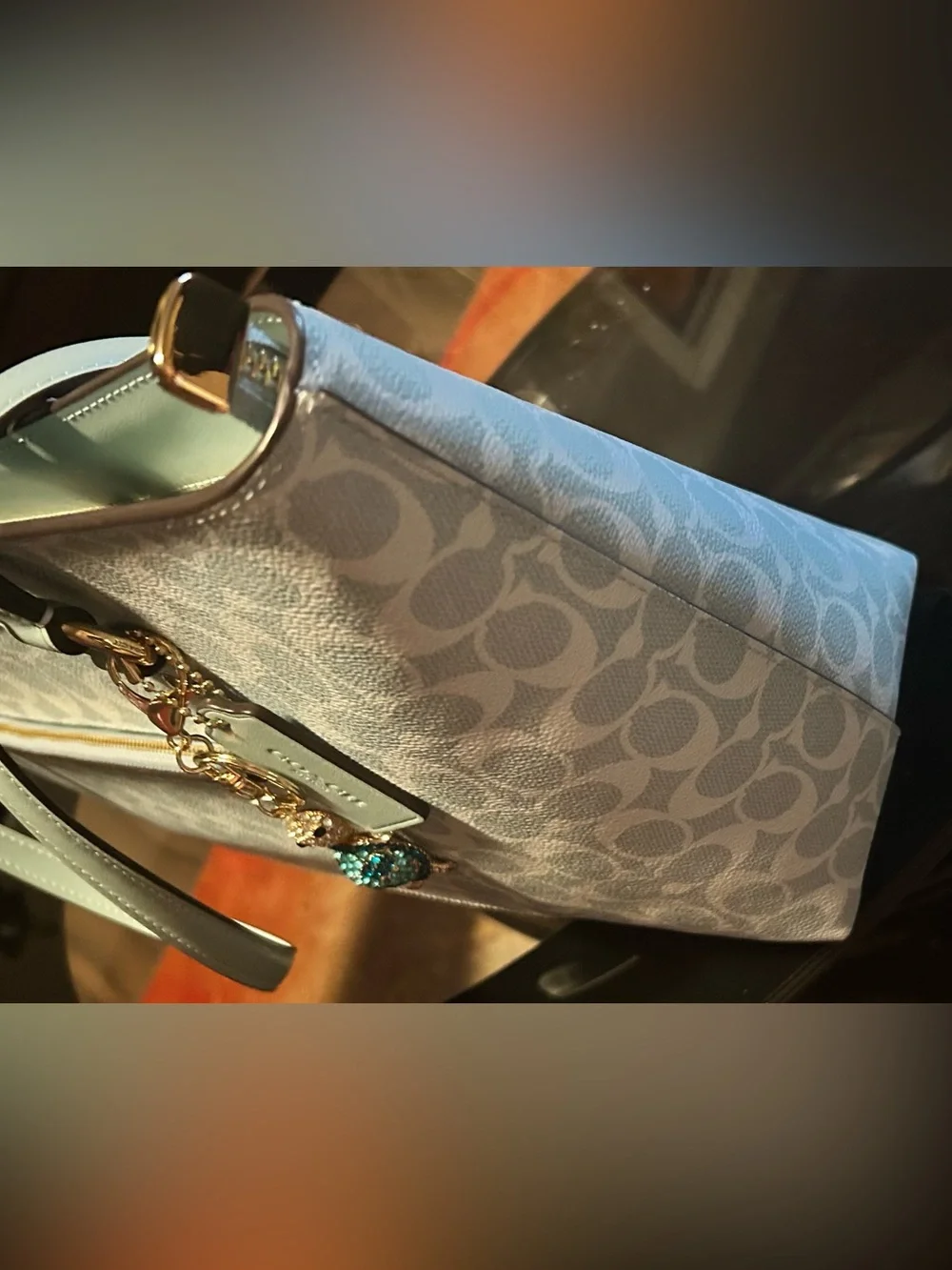 Coach Station Tote